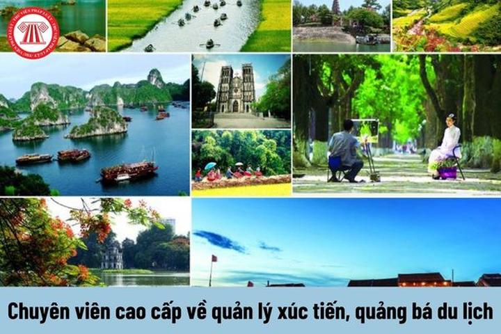 Hotspot Matrix: Đối tác chiến lược cho thành công video ngắn