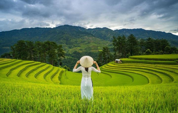 Xu hướng 1 người vừa mua Labubu giá: Hotspot Matrix tiết lộ bí quyết video viral