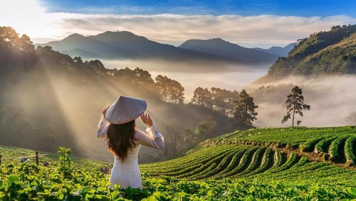Xu hướng 2 nàng dâu hào môn hot nhất: Hotspot Matrix tiết lộ bí quyết video viral