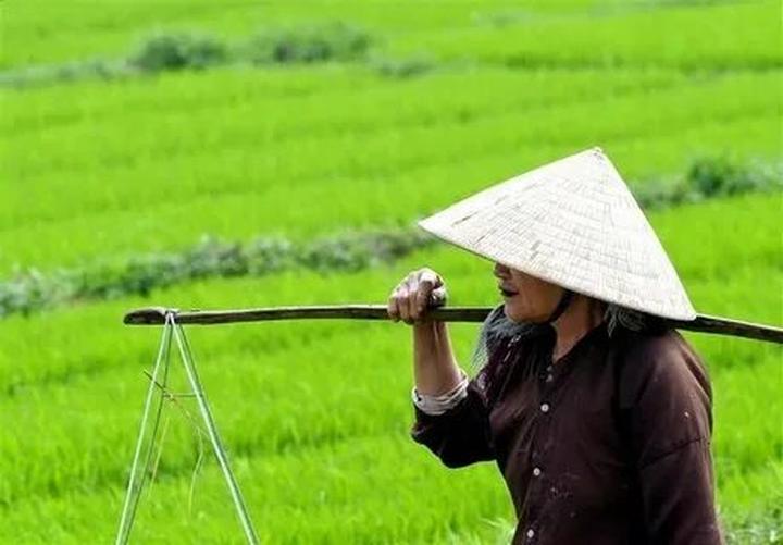 4 kiểu áo không thể thiếu - Cảm hứng video marketing từ Hotspot Matrix