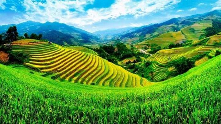 Không thể nhận ra Châu Kiệt - Cảm hứng video marketing từ Hotspot Matrix